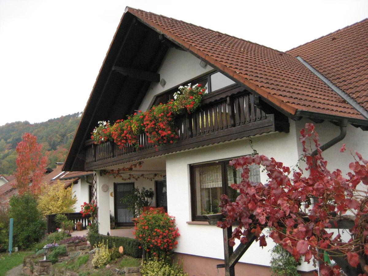 Ferienwohnungen Haus Albert Grossheubach Bagian luar foto