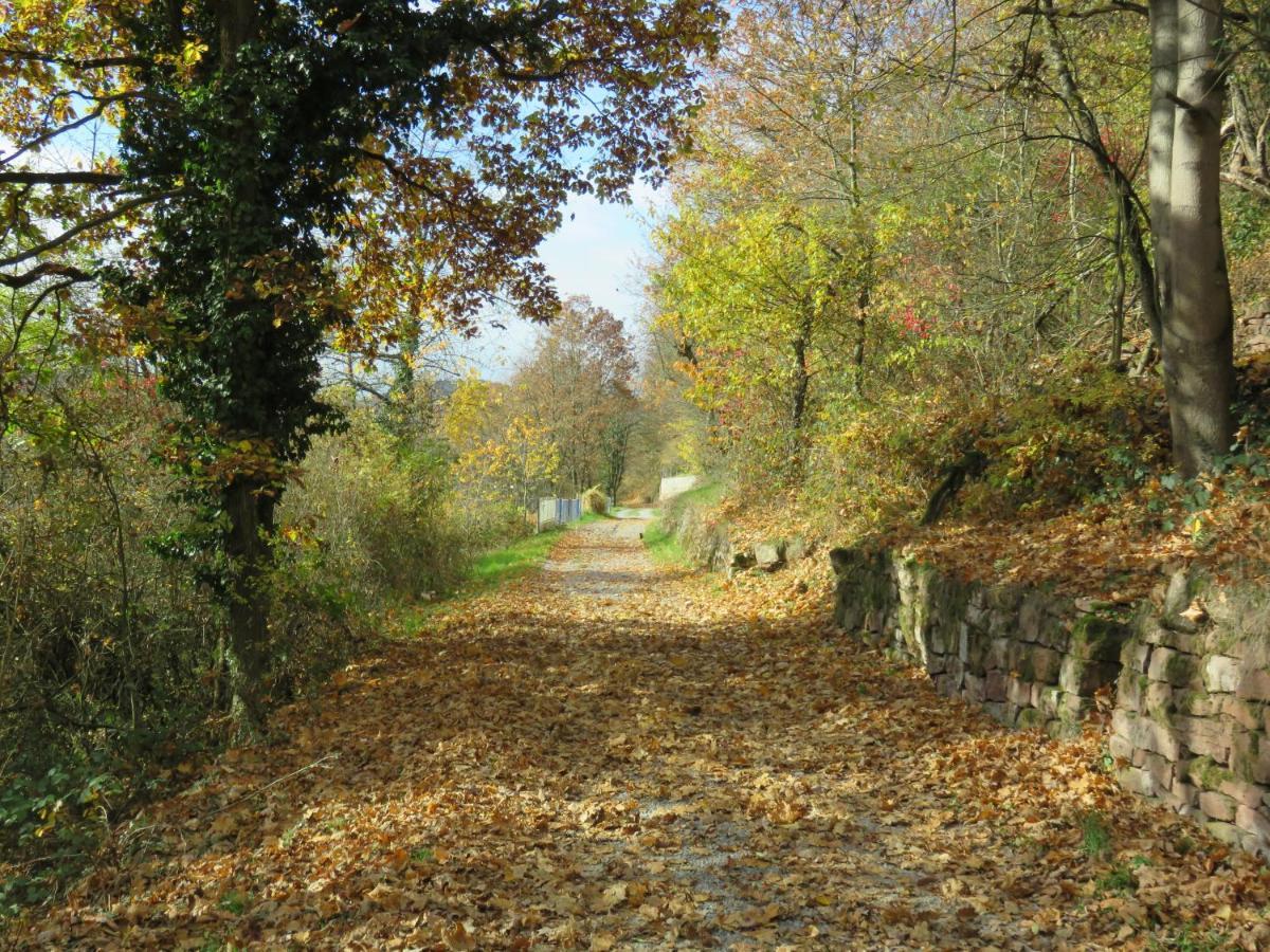 Ferienwohnungen Haus Albert Grossheubach Bagian luar foto