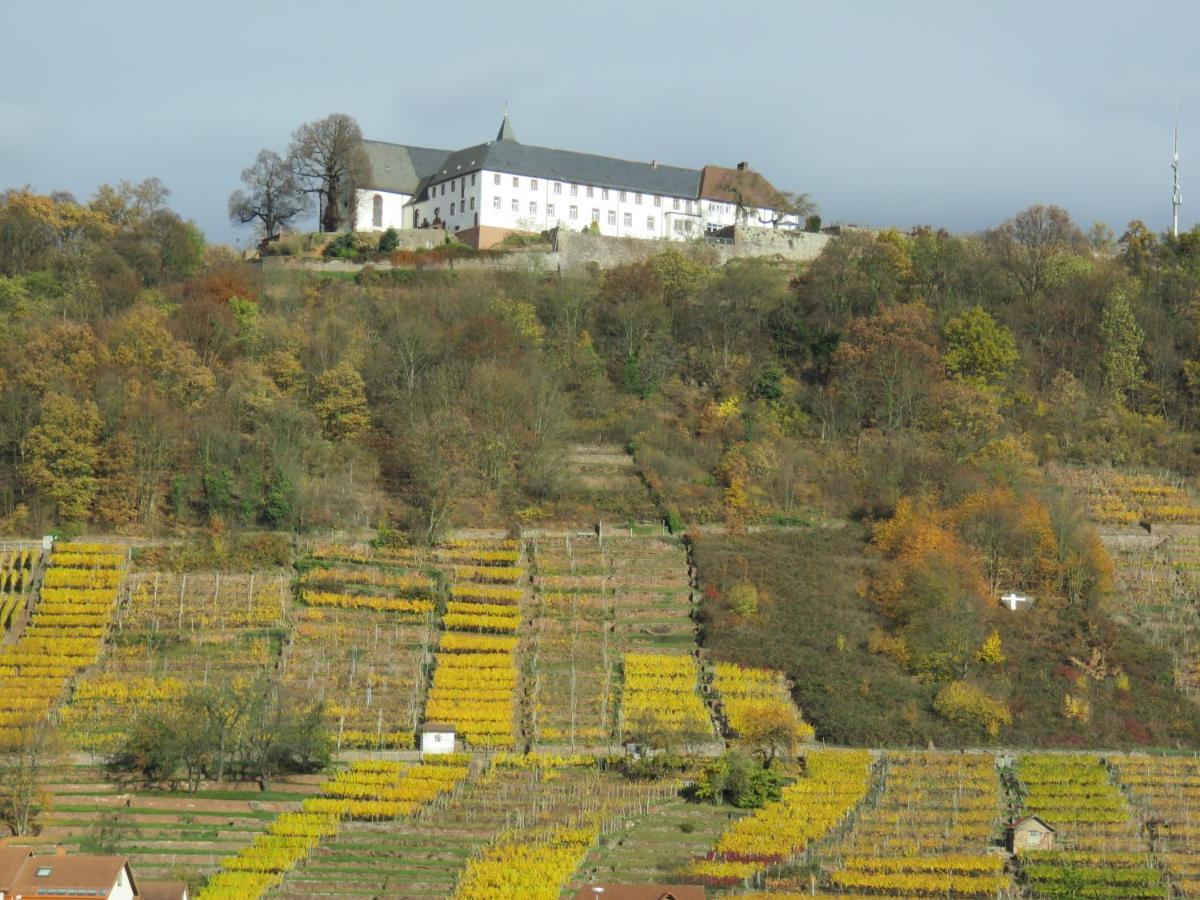 Ferienwohnungen Haus Albert Grossheubach Bagian luar foto