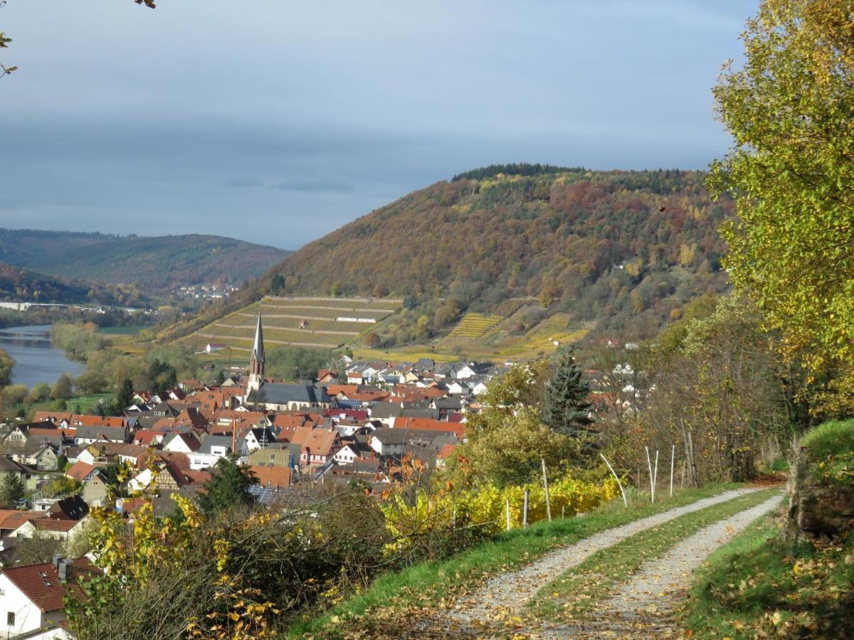Ferienwohnungen Haus Albert Grossheubach Bagian luar foto